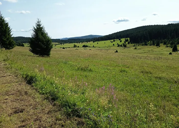 Villa Rezidence Jih Hlavnovice
